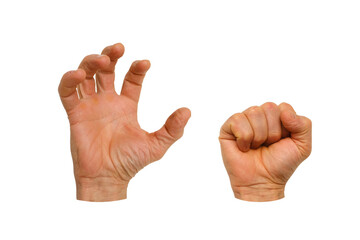 Set of male hand isolated on white background, palm clenched into tight fist, concept threat, ready to strike, violence, fingers twisted, scratching, zombie hand symbol, horror, basis for animation