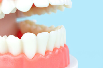 Prosthetic dentistry. Advertising. Removable denture. Dentist appointment Dental teeth model. Open human upper and lower. Artificial jaw in the dental blue background.