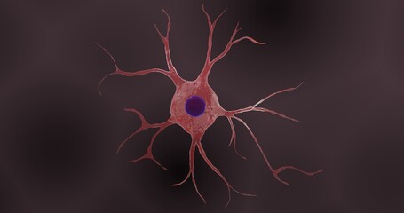 Astrocyte or astroglia in 3D illustration