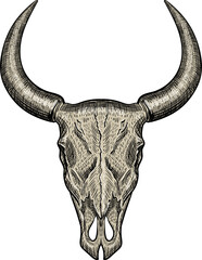 Hand-drawn buffalo skull illustration