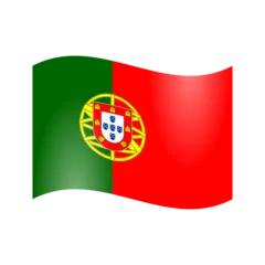 Fotobehang Vector graphics of the national flag of Portugal © Shaig Agayev
