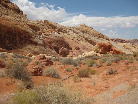 View from Roadside in Red Rock Canyon National Conservation Area 