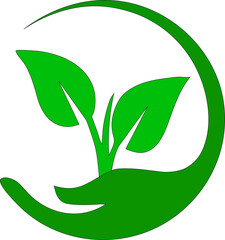 hand holding green leaf