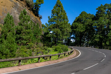 Outstanding road to the volcano Teide (Canary Islands)

