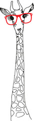 giraffe illustration for print