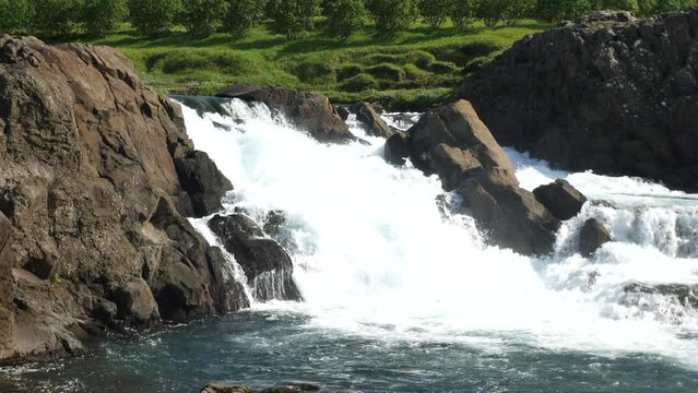 Glanni Waterfall with jumping salmon during summer in Iceland. Magical Icelandic landscape with lush green bushes. High quality 4k footage