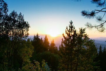 Fototapeta premium Vista de puesta de Sol en bosque en Sarajevo, Bosnia, con árboles y pinos a contra luz