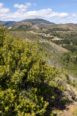 Aerial View of a creek flowing to  the beautiful Lago General Carrera in southern Chile - Traveling the Carretera Austral 
