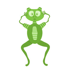Surprised green frog with his mouth open. Emotion of surprise, horror