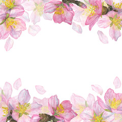 Fototapeta na wymiar Cute frame of pink sakura buds and petals. Romantic watercolor illustration.