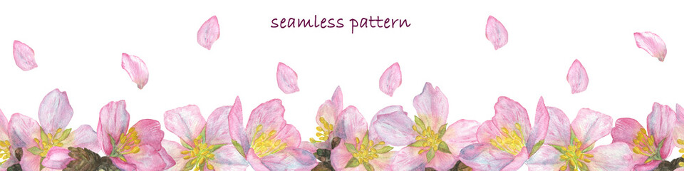 Seamless banner pattern with fruit tree flowers and petals - cherry, apple, almond. Watercolor illustration.
