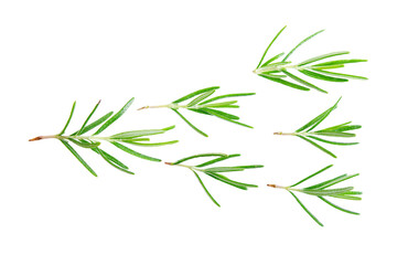 Rosemary
