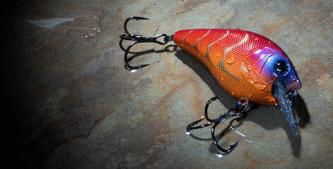 Wet fishing bait on a rock