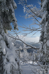 Winter forest on a sunny day in Gorce © Mariusz