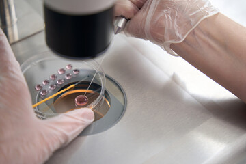 Embryologist works with biomaterial in a specialized laboratory