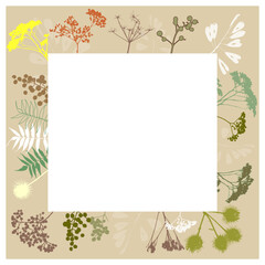 floral frame flowers, plants botany biology nature. Vector illustration