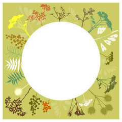 Floral frame round flowers, plants botany biology nature. Vector illustration