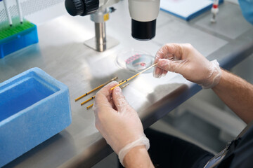 Close up of geneticist places a straw with embryo in chilled cap in laboratory