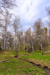 South Ural rough stream with a unique landscape, vegetation and diversity of nature.