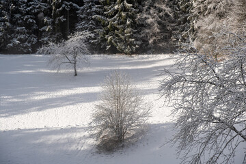 Winter Wonderland . Winterlandschaft