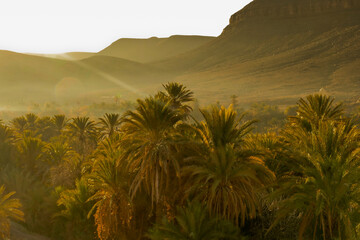 Fototapeta na wymiar Marocco, oasi di Fint. Oarzazate