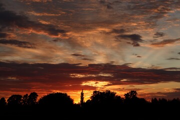 Colorful sunset outside the city.  Dramatic clouds at sunset and black silhouettes of bushes