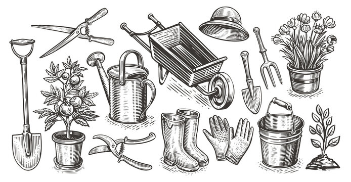 Garden, farm concept. Gardening set of items sketch. Agriculture, farming objects vintage illustration