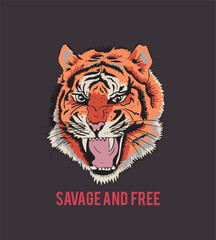 tiger illustration for print