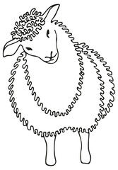 Cute outline sheep illustration single element, hand drawn witn fineliner. Black line design isolated on transparent background for the cattle logo.  Lamb emblem mascot concept for cattle icon.
