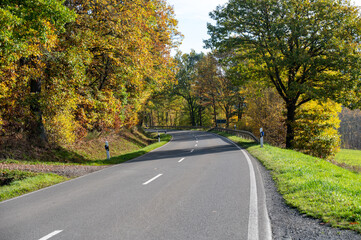 Obraz premium Road in nature with trees