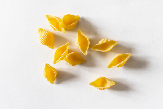 top view of several dry uncooked conchiglie rigate pasta pieces on white paper close up