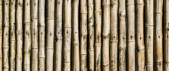 Brown bamboo sticks pattern. Panoramic bamboo background. Natural wooden plant pipes texture. Website header long view. Japanese Zen ornament.