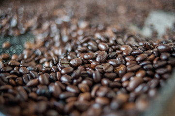 coffee beans background