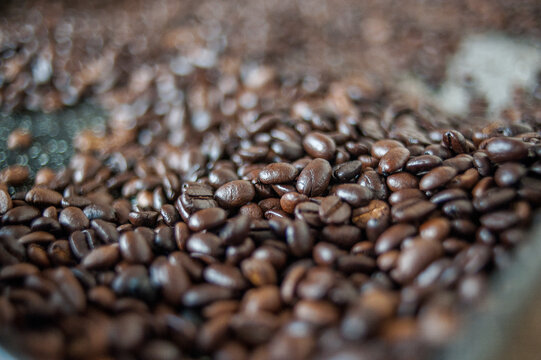 coffee beans background