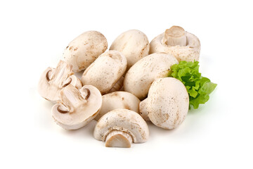 Champignons, close-up, isolated on white background.