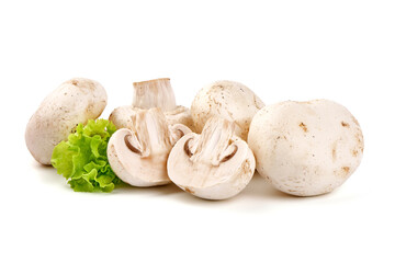 Champignons, close-up, isolated on white background.