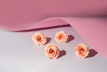 Abstract background of sheets of colored paper and pink roses.Spring and summer elegant minimal concept