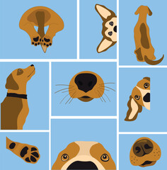beautiful set of dogs for instagram shop or for pet shop posters
