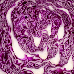 Macro close up Texture cavolo viola radicchio insalata