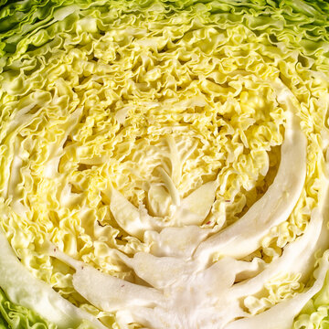 Macro close up Texture verza cavolo bianco cavoletti