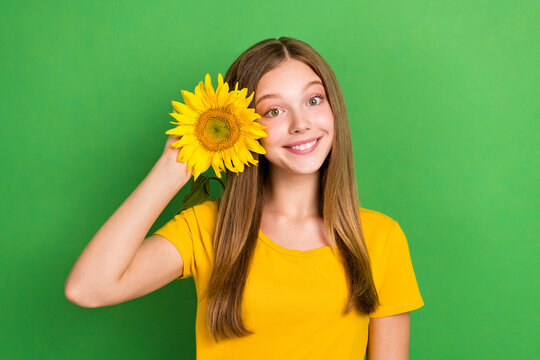 Photo Of Cute Fancy Beautiful Young Gorgeous Pretty Girl Falling Love Put Sun Flower Her Brown Hair Behind Ear Isolated On Green Color Background