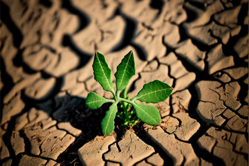 Trees are growing in dry ground in the desert. Concept Forest and nature conservation. AI generated