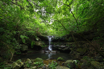 沖縄県西表島クーラの滝
