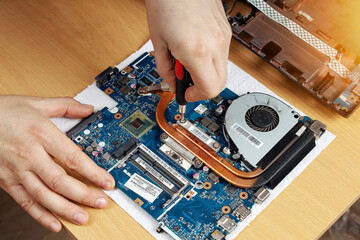 Repairman disassembles cooling system in laptop to clean and replace thermal grease