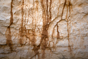 Fototapeta premium Water marks down a limestone cliff face near the ocean.