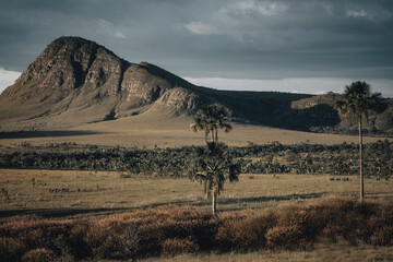 Naklejka premium landscape of the mountains