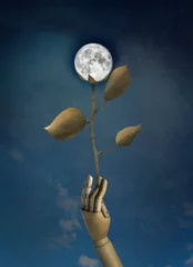 Foto op Plexiglas Surrealisme I Give You The Moon