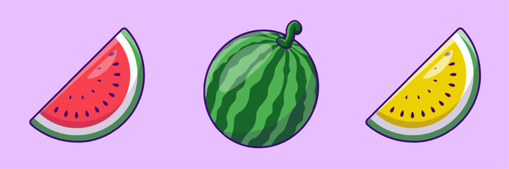 Watermelon Vector Illustration Design Collection