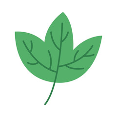 Green Leaf Vector Illustration
