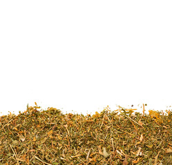 Dehydrated leaves of medicinal paico - Dysphania ambrosioides